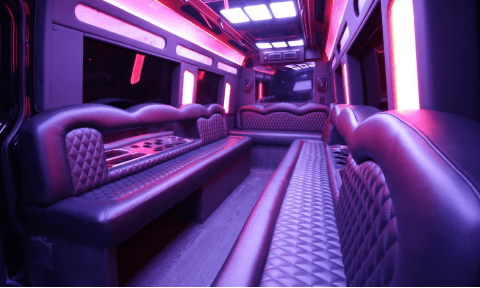 Boynton Beach 14 Passenger Sprinter Bus Interior