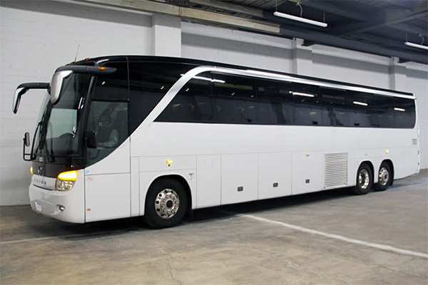 Hollywood 36 Passenger Party Bus